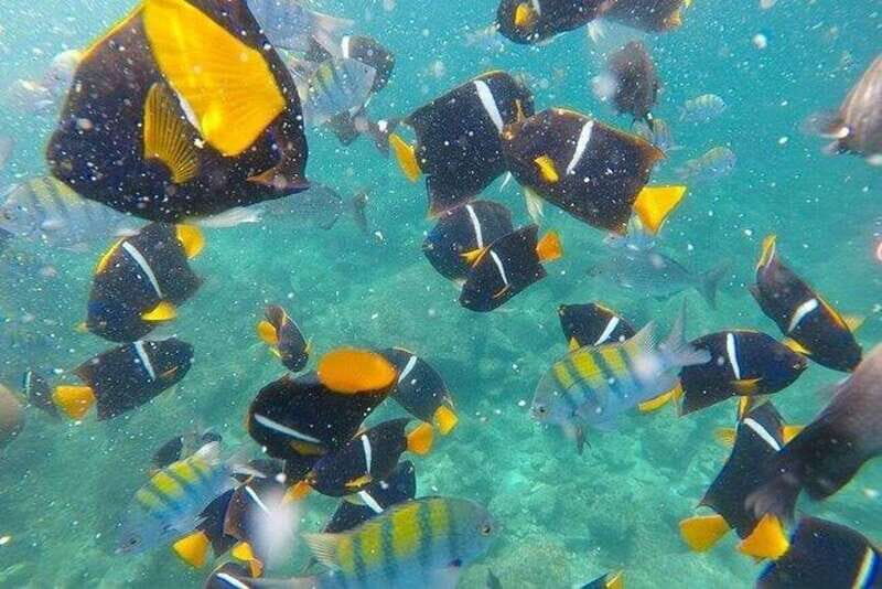 Puerto Vallarta: Pirate Ship Adventure - Good To Know