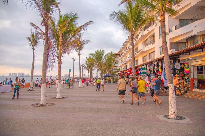 Puerto Vallarta Private Art Tour - The Sum Up
