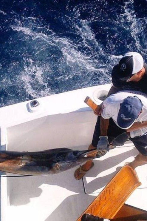 Puerto Vallarta: Private Boat Fishing - Good To Know