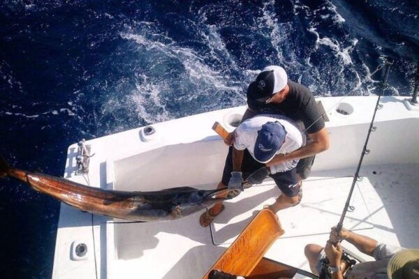 Puerto Vallarta: Private Boat Fishing - Cancellation and Refund Policy