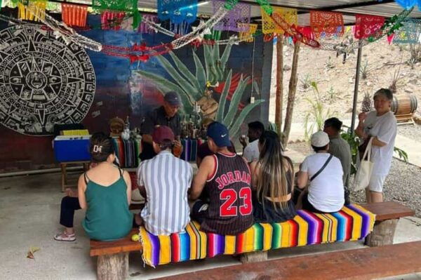 Puerto Vallarta: Private City Tour and Tequila Tasting - Booking and Availability