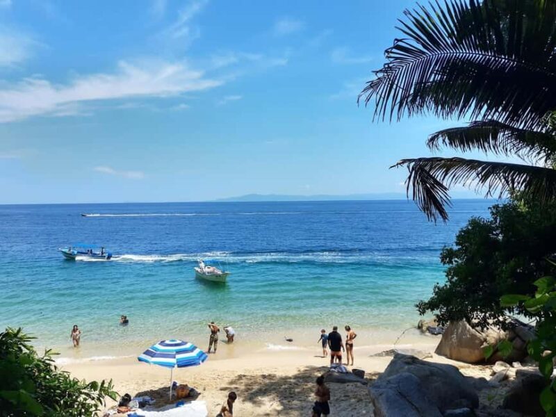 Puerto Vallarta: Private Colomitos & Madagascar Beaches Tour - Good To Know