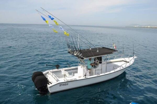 Puerto Vallarta: Private Ocean Adventure - Customization Options