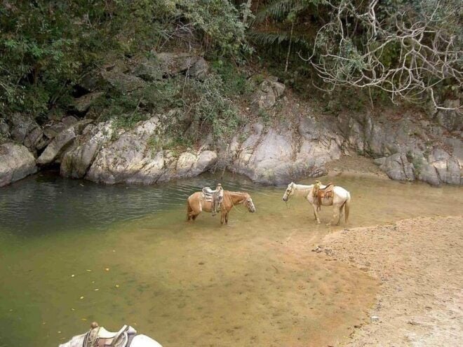 Puerto Vallarta: Private Tour Hiking Quimixto Waterfall - Return Journey