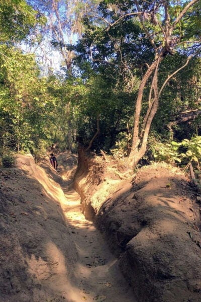 Puerto Vallarta: Private Tour Hiking Quimixto Waterfall - Frequently Asked Questions