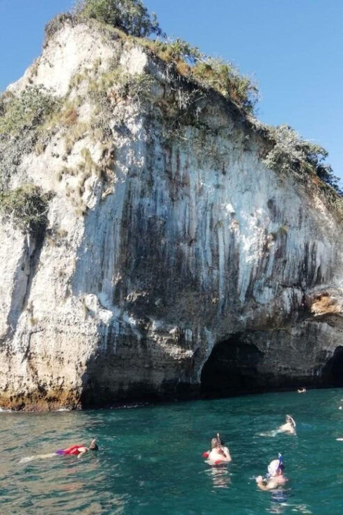 Puerto Vallarta: Private Tour Los Arcos Snorkeling - Booking Information