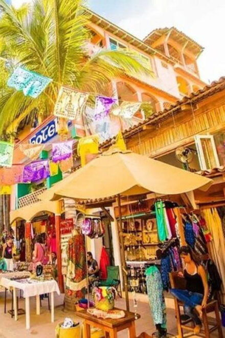 Puerto Vallarta: Private Transportation From Your Hotel - Highlights of the Experience