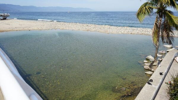 Puerto Vallarta: Puerto Vallarta and Tequila Tasting - Frequently Asked Questions