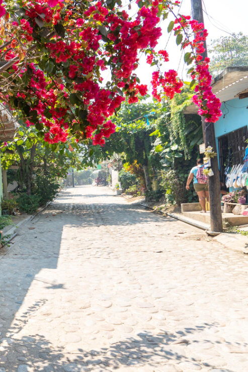 Puerto Vallarta: Quimixto Waterfall Hike and Boat Tour - Itinerary and Activities
