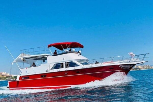Puerto Vallarta: Renting the Bertram Yacht 58 Feet - Celebrating Special Occasions