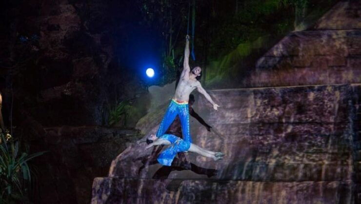 Puerto Vallarta: Rhythms of the Night Experience - Good To Know