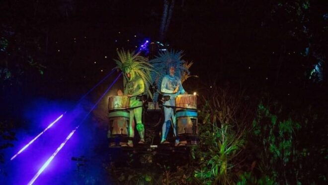 Puerto Vallarta: Rhythms of the Night Experience - Gourmet Candle-lit Dinner