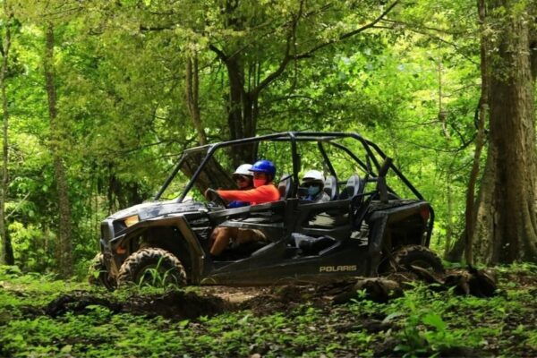 Puerto Vallarta: RZR Canopy River - Exploring Local Cuisine