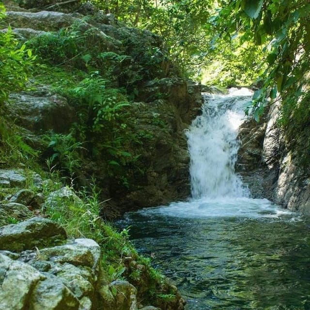 Puerto Vallarta: RZR Cuale River - Mountain Roads and Rugged Terrain