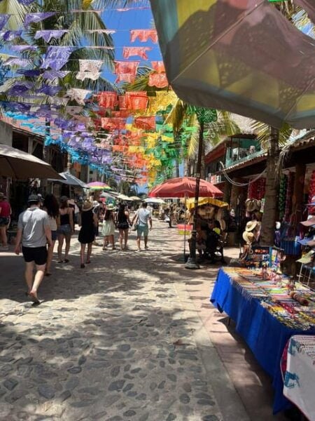 Puerto Vallarta: Sayulita and San Pancho Day Trip - Frequently Asked Questions