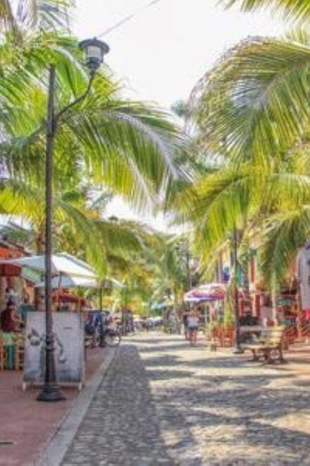 Puerto Vallarta: Sayulita and San Pancho Tour - Transportation and Inclusions