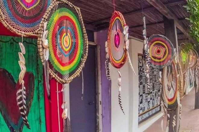 Puerto Vallarta: Sayulita and San Pancho Tour - Local Cuisine and Culture