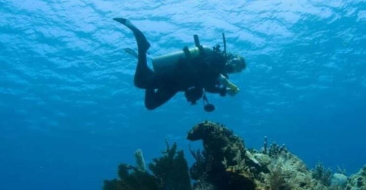 Puerto Vallarta: Scuba Dive at Los Arcos - Guided Experience