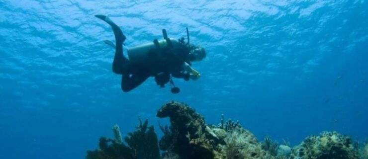 Puerto Vallarta: Scuba Dive at Los Arcos - Good To Know