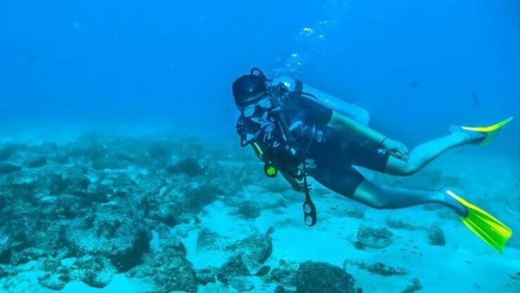 Puerto Vallarta: Scuba Dive at Los Arcos - Guided Experience