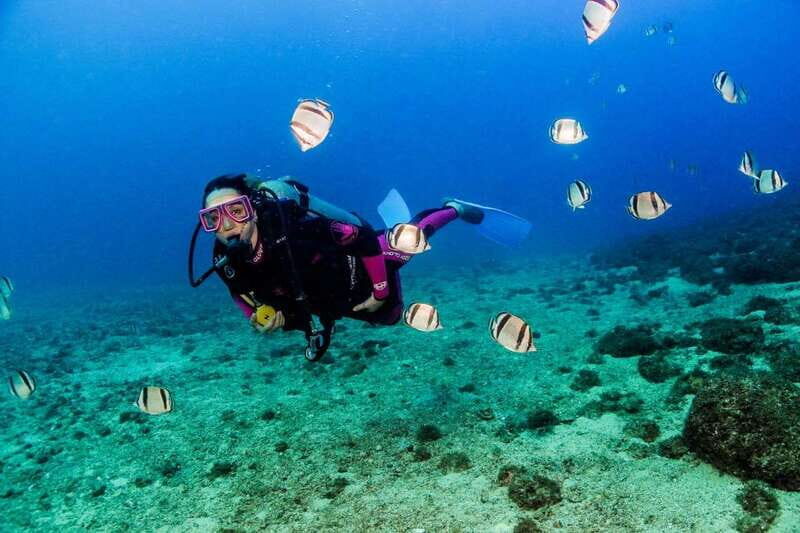 Puerto Vallarta: Scuba Dive in Las Caletas - Equipment & Inclusions: What’s Covered