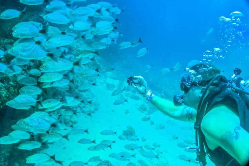 Puerto Vallarta: Scuba Dive in Las Caletas - Who Will Love This Tour?