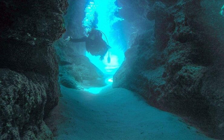 Puerto Vallarta: Scuba Dive in Las Caletas - Good To Know