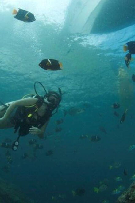 Puerto Vallarta: Scuba Dive in Las Caletas - Professional Dive Master Guidance