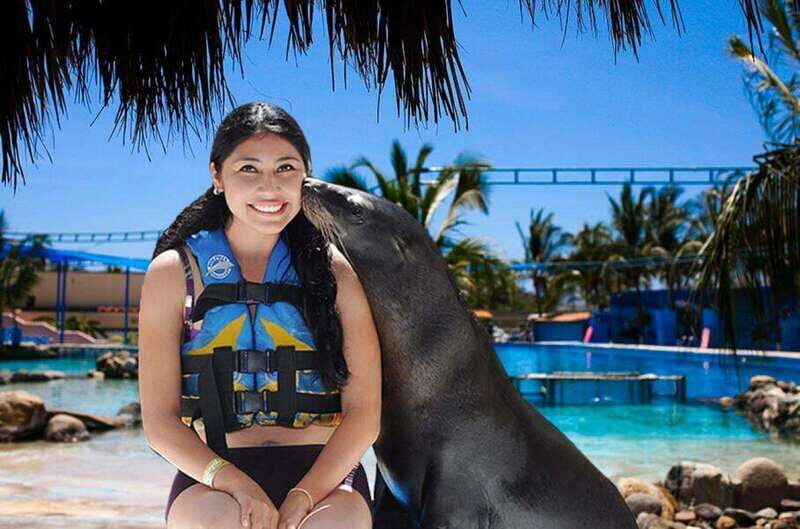 Puerto Vallarta: Sea Lion Discovery at Aquaventuras Park - The Authentic Appeal of This Tour