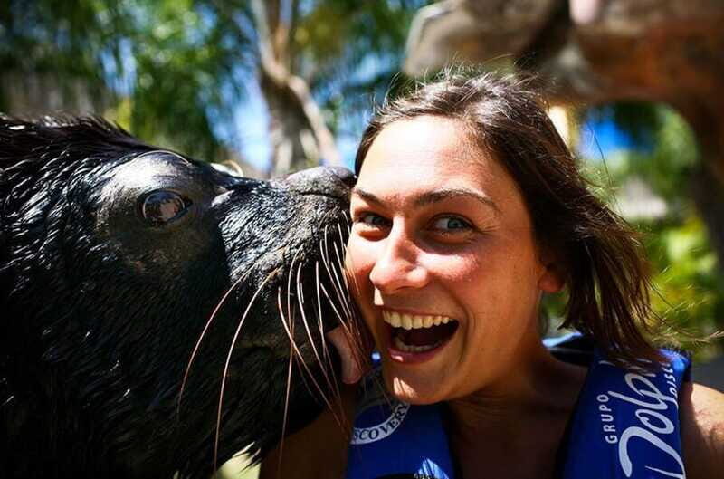 Puerto Vallarta: Sea Lion Discovery at Aquaventuras Park - FAQ