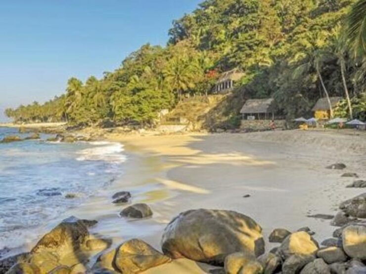 Puerto Vallarta: Sea Safari & Horseback Riding - Good To Know