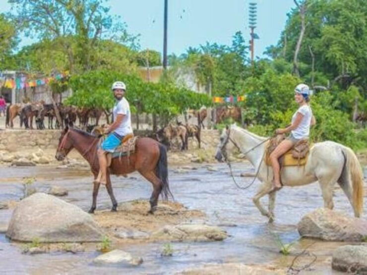 Puerto Vallarta: Sea Safari & Horseback Riding - Itinerary Highlights