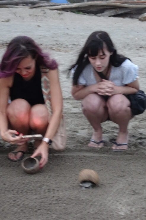 Puerto Vallarta: Sea Turtle Release at Sunset - Good To Know