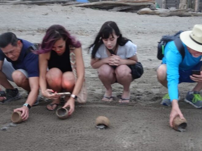 Puerto Vallarta: Sea Turtle Release at Sunset - Itinerary Details