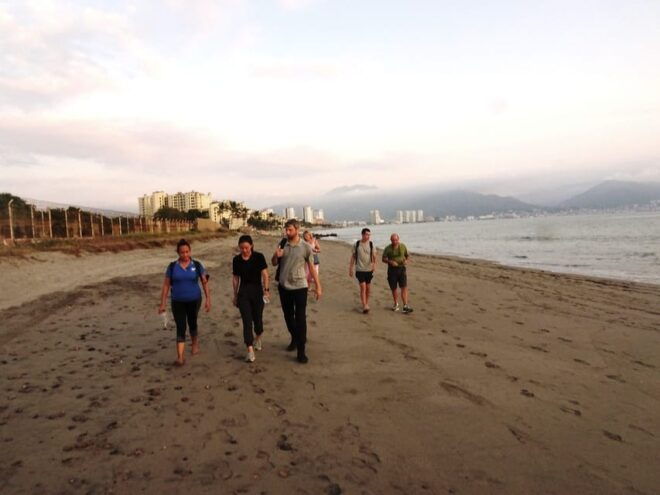 Puerto Vallarta: Sea Turtle Release at Sunset - Cancellation Policy