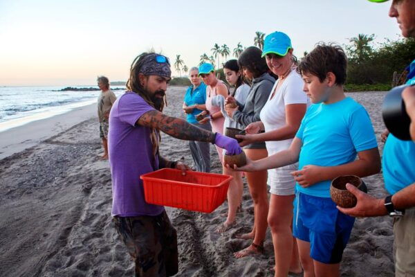 Puerto Vallarta: Sea Turtle Release at Sunset - What to Bring