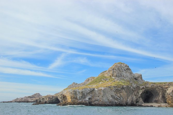 Puerto Vallarta Small-Group Marieta Islands Snorkel Tour - Tour Details