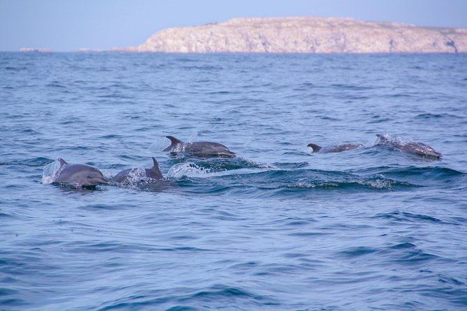 Puerto Vallarta Small-Group Marieta Islands Snorkel Tour - Recommended Items to Bring