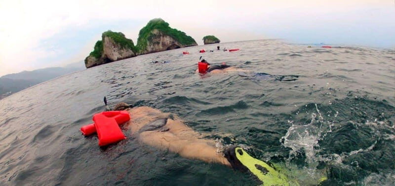 Puerto Vallarta: Snorkel Adventure at Los Arcos - Good To Know