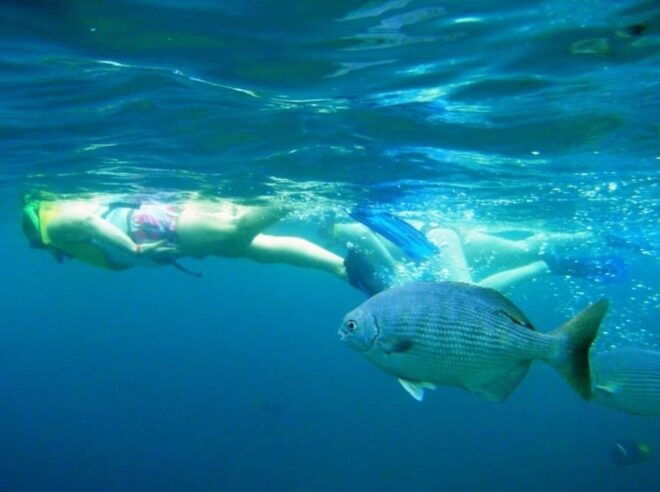 Puerto Vallarta: Snorkeling at Marietas Islands - Booking Information