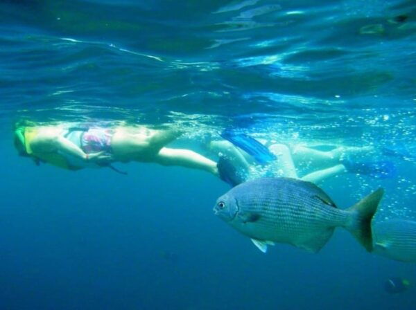Puerto Vallarta: Snorkeling at Marietas Islands - Highlights of the Tour