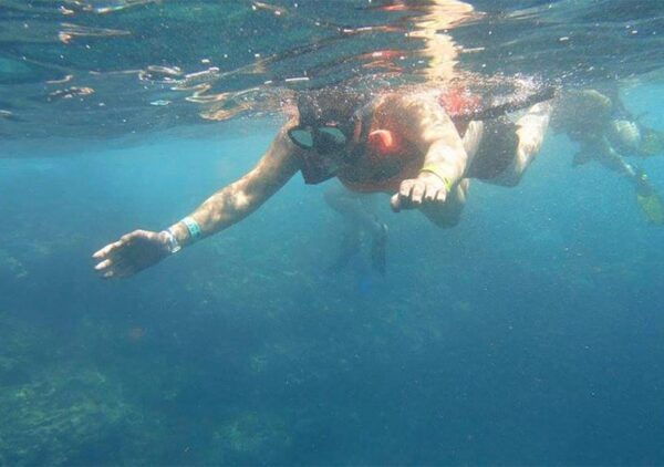 Puerto Vallarta: Snorkeling, Beach, Sailing to Marietas Park - Seasonal Wildlife Sightings