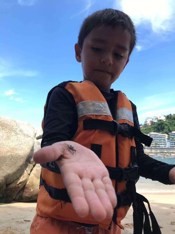 Puerto Vallarta: Snorkeling Tour to Los Arcos de Mismaloya - FAQ