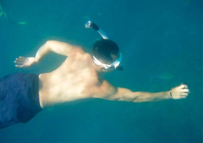 Puerto Vallarta: South Shore Sail, Snorkel and Beach - Highlights of the Experience