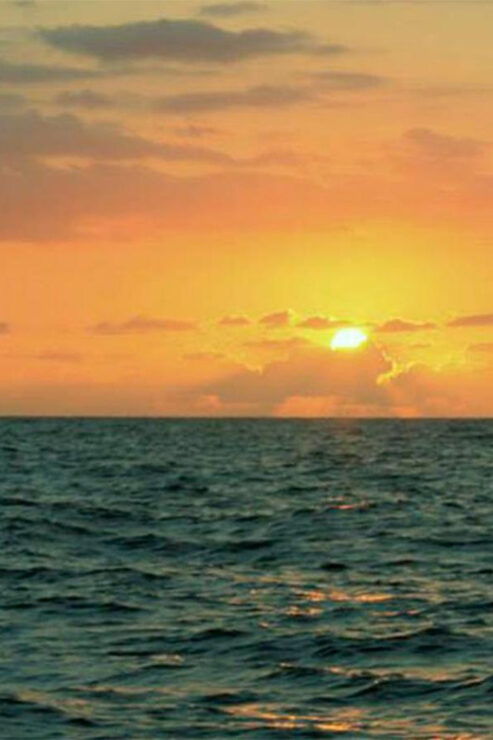 Puerto Vallarta: Sunset Sail - Experience Highlights