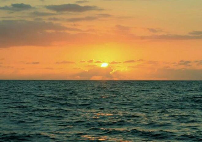 Puerto Vallarta: Sunset Sail - Important Information
