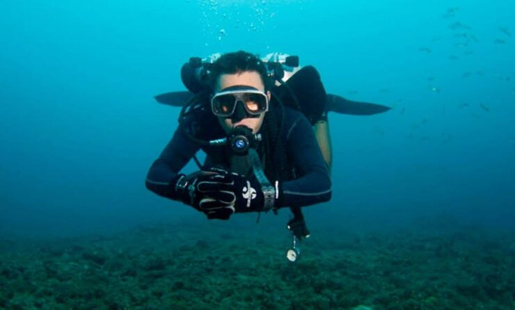 Puerto Vallarta: The Corbeñeta Underwater Exploration - Good To Know