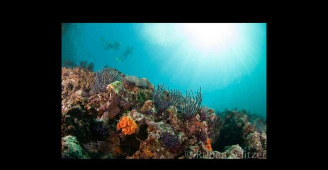 Puerto Vallarta: The Corbeñeta Underwater Exploration - Equipment and Safety
