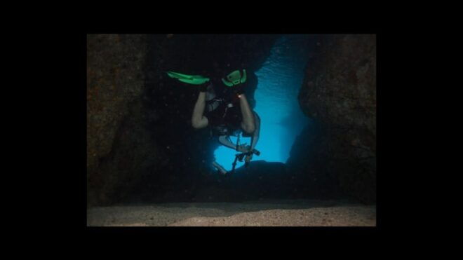 Puerto Vallarta: The Corbeñeta Underwater Exploration - Refreshments and Relaxation