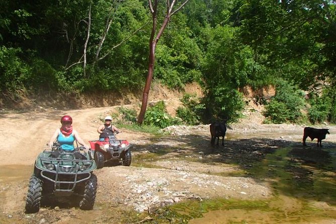Puerto Vallarta to Rancho Las Vegas ATV Adventure Private Tour - Traveler Photos